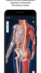 BioDigital Human - 3D Anatomy 1