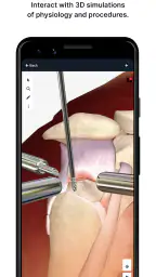 BioDigital Human - 3D Anatomy 3