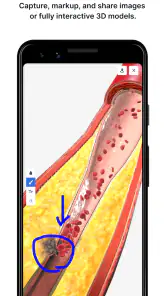 BioDigital Human - 3D Anatomy screenshot