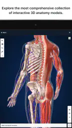 BioDigital Human - 3D Anatomy 7
