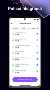 BlazeClean screenshot