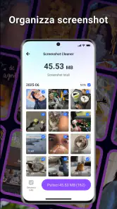 BlazeClean screenshot