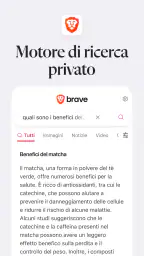 Brave Browser Web VPN Privato 7