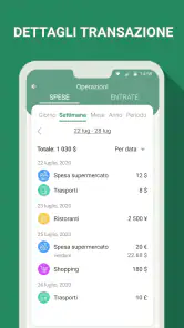 Budget e finanze - spese screenshot