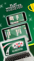 Buraco Pro HD 3