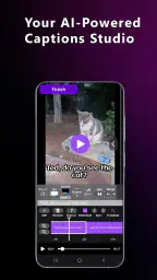 Captions: For Video Subtitles 1