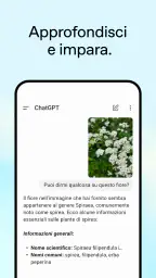 ChatGPT 4