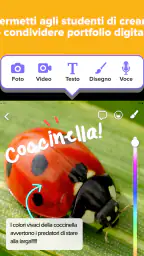 ClassDojo 8