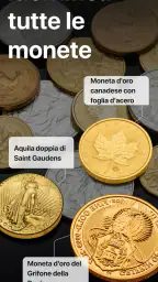 CoinSnap - Guida ai valori 1