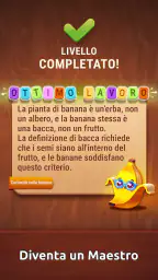 Colorwood Words: Giochi Parole 6