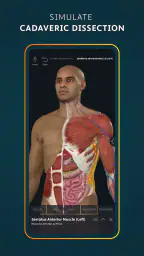 Complete Anatomy 2