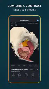 Complete Anatomy screenshot
