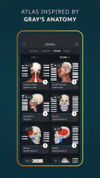Complete Anatomy 6