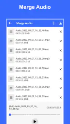 Convertitore video in MP3 5