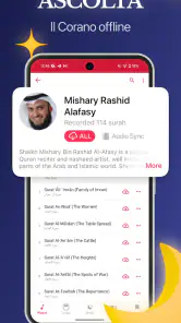 Quran Pro: Pronto per Ramadan screenshot
