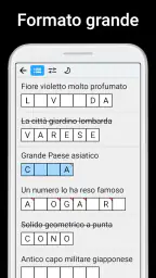 Cruciverba - Autodefiniti 4