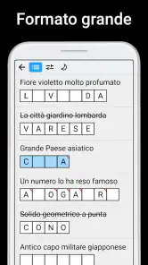 Cruciverba - Autodefiniti screenshot
