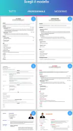 Curriculum vitae, CV Europeo 1