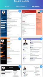 Curriculum vitae, CV Europeo 2