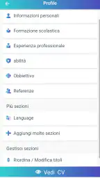 Curriculum vitae, CV Europeo 3