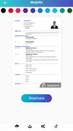 Curriculum vitae, CV Europeo 5