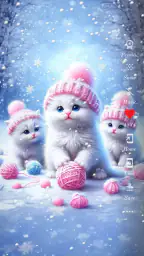 Cute Cat Wallpaper HD 3