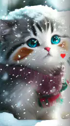 Cute Cat Wallpaper HD 8