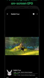Dimplay: Live Player 3
