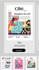 Domani screenshot
