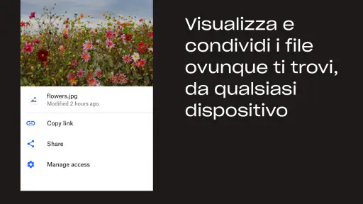 Dropbox: Backup di Foto e File 2