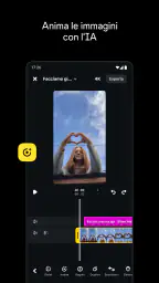 Edits, un'app di Instagram 7
