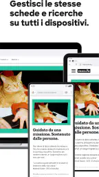 Firefox browser riservato 4