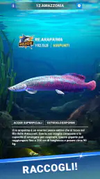 Fishing Travel 5