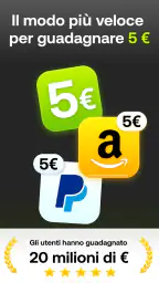 Five Surveys: Guadagnare Soldi 6