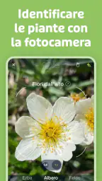 Flora Incognita 2