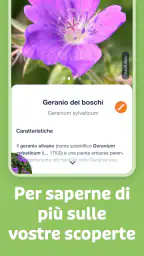 Flora Incognita 3