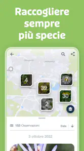 Flora Incognita screenshot