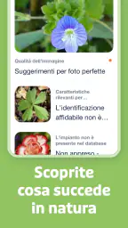 Flora Incognita 5
