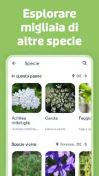 Flora Incognita 6