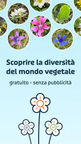 Flora Incognita screenshot