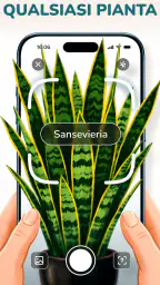 Florum: Identificatore piante 2