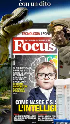 Focus Italia 1