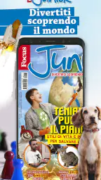 Focus Junior 1