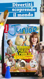 Focus Junior 5