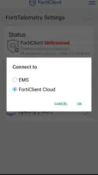 FortiClient 2