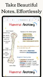 Freenotes: Blocco Note, Memo 7
