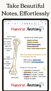 Freenotes: Blocco Note, Memo screenshot