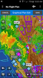 Garmin Pilot 1
