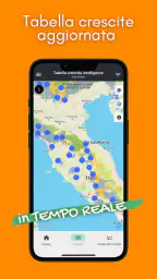 Geoticket 4