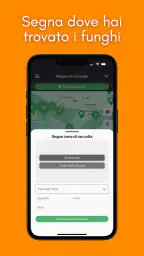 Geoticket 5